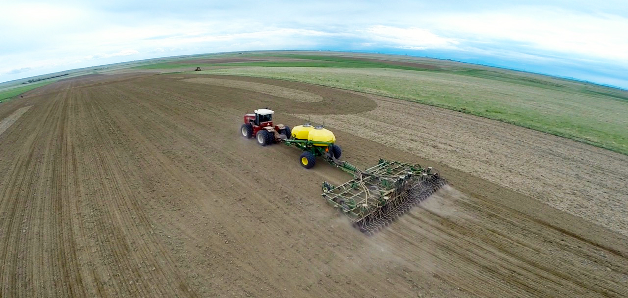 above shot of a tractor seeding field with millet